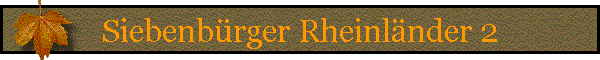 Siebenbrger Rheinlnder 2