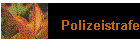 Polizeistrafe