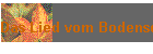 Das Lied vom Bodensee Griffschrift