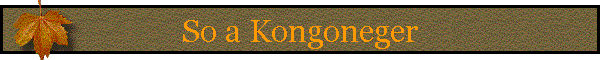 So a Kongoneger