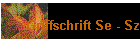 Griffschrift Se - Sz