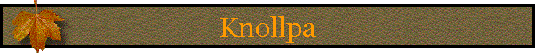 Knollpa