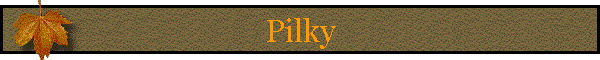 Pilky