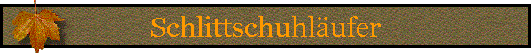 Schlittschuhlufer