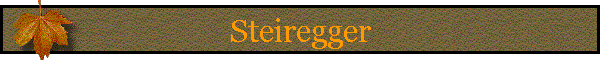 Steiregger