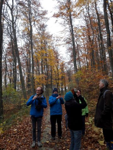 Wanderung durch den Wienerwald